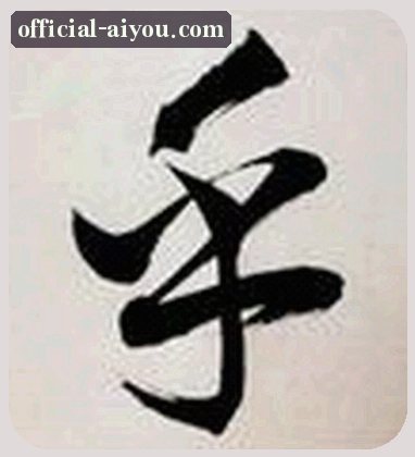 赵凯